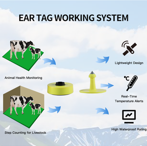 HT001 étiquettes d'oreille électroniques RFID pour <span class=keywords><strong>animaux</strong></span> nouvelle mesure de la température en plastique et comptage des pas pour les bovins et les moutons - Product Image 6