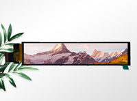 6,1 Zoll Bar TFT LCD Modul mit 280RGBx1424 Auflösung und MIPI-Schnittstelle, Treiber-IC ST7703I, 12 LEDs