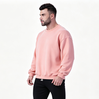 Sweat-shirt à capuche en coton uni de haute qualité, épais, 300 g/m², personnalisable en gros