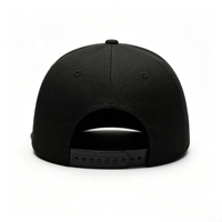 Casquette de baseball unisexe réglable à 6 panneaux, visière plate, imperméable, style sportif, couleur unie, vierge, personnalisable avec logo, style hip-hop, plusieurs modèles