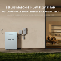 Batterie au lithium 16 kWh 17 kW 51,2 V 300 Ah 314 Ah 16S Seplos BMS 30 kWh 50 kWh LiFePO4 pour stockage d'énergie domestique, durée de vie 10 ans