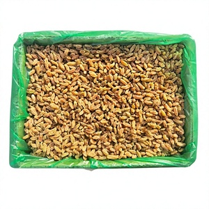 Raisins secs naturels en gros, fruits secs sans pépins, séchés au soleil, raisins sucrés en vrac pour les importateurs de l'industrie agroalimentaire - Product Image 1