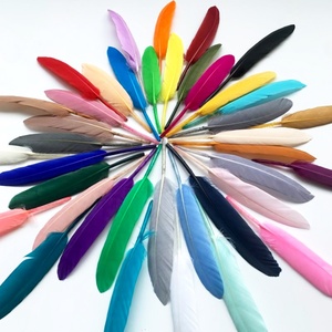 Plumas de Ganso Rectas Pequeñas, Plumas Individuales al por Mayor, Materiales para Manualidades, Joyería y Ropa - Product Image 5