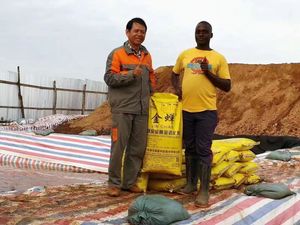 Hóa chất phục hồi Vàng hóa chất đại lý hóa học phụ trợ vàng tinh chế hóa chất - Product Image 2