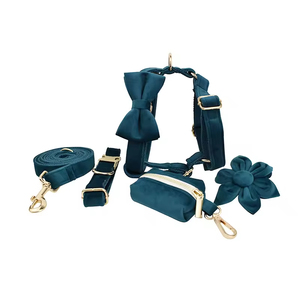 व्यक्तिगत लक्जरी टिकाऊ मखमली कुत्ते का उपयोग करते हुए पट्टा सेट नरम ठोस पैटर्न पालतू कुत्ते का कॉलर आंटाई और पोप बैग डिस्पेंसर - Product Image 3