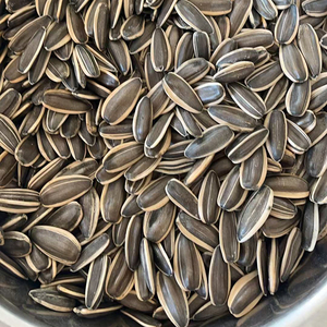 Semillas de Girasol Crudas Secas Comestibles, Venta al por Mayor en Bolsas de PP para Procesamiento de Alimentos - Product Image 2