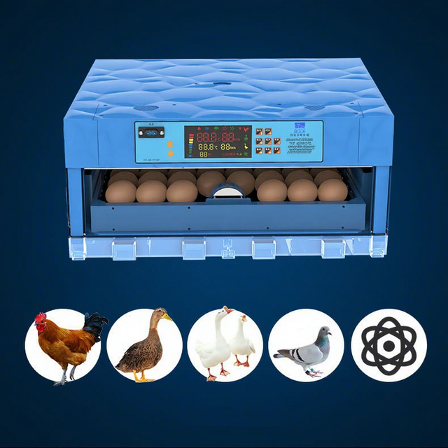Solar Power Egg Incubator 64 Egg Incubator High Hatching Rate Automatic 192 Egg Incubator