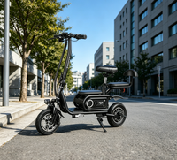 Mini vélo pliable léger et portable 500W avec cadre en acier pour adultes et enfants