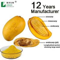 Longze 1kg poudre de mangue lyophilisée poudre de mangue lyophilisée fruits lyophilisés