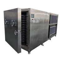Goede Prijs Fruit Drogen Productielijn Productie Van Gedroogde Fruit Vriesdroogmachine Te Koop