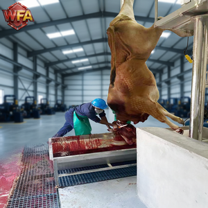 Ligne d'abattage de bétail halal personnalisée, machines de traitement automatiques avec moteur et pompe <span class=keywords><strong>pour</strong></span> abattoir commercial, haute capacité - Product Image 1