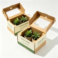 Boîtes d'expédition pour plantes de haute qualité, personnalisées, en promotion, avec impression numérique, pour l'envoi de plantes