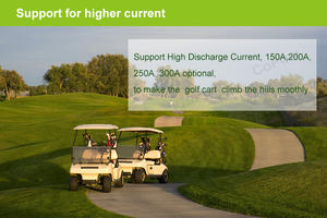 بطارية ليثيوم lifepo4 مخصصة من المصنع 36 فولت 48 فولت 60 فولت 72 فولت 100 أمبير 160 أمبير 200 أمبير حزمة بطارية lifepo4 - Product Image 5