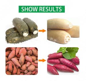 Machine à laver les concombres, machine à laver les légumes, machine à laver les légumes avec ozone - Product Image 2