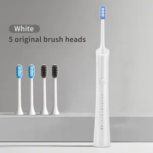 recipiente de viagem escova de dentes elétrica Suppliers-Recipiente para o logotipo da etiqueta privada do oem recipiente escova de dente do adulto elétrico da viagem com cabeças