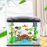 Nouvel arrivage de petits aquariums en verre léger à Led pour les décorations intérieures de la maison