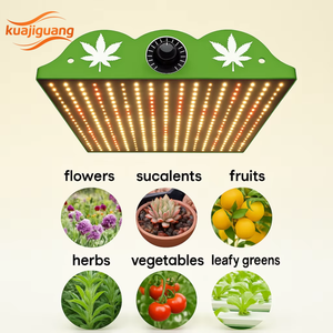 Paneles de <span class=keywords><strong>luz</strong></span> LED cuántica de 1000W especializados, espectro rojo alto <span class=keywords><strong>para</strong></span> el crecimiento de suculentas y <span class=keywords><strong>cactus</strong></span> - Product Image 1