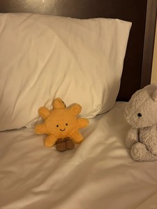 Juguetes de Peluche Suaves de Excelente Calidad Británica, Personalizados, para <span class=keywords><strong>el</strong></span> Día de San Valentín, con Gato de Peluche Jelly Cat Sun - Product Image 3