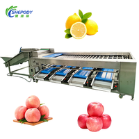 Shepody 500kg/u Automatische Kiwi-Komkommer Sorteermachine Auto Abrikoos Granaatappel Tomaat Pecannoten Roller Sorteermachine