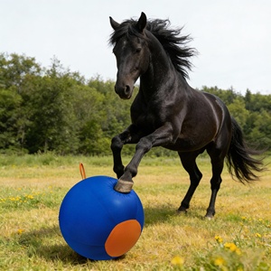 Ballon gonflable de dressage <span class=keywords><strong>pour</strong></span> <span class=keywords><strong>chien</strong></span>, personnalisé par l'usine OEM, durable, <span class=keywords><strong>pour</strong></span> chiens de petite/moyenne/grande taille, jeu interactif <span class=keywords><strong>d</strong></span>'extérieur - Product Image 5