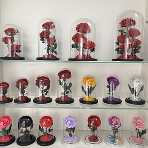 Vente en gros <span class=keywords><strong>La</strong></span> <span class=keywords><strong>Belle</strong></span> <span class=keywords><strong>et</strong></span> <span class=keywords><strong>la</strong></span> Bête Roses éternelles <span class=keywords><strong>Prince</strong></span> 15*30 Rose conservée dans une boîte cadeau en verre pour petite amie - Product Image 5