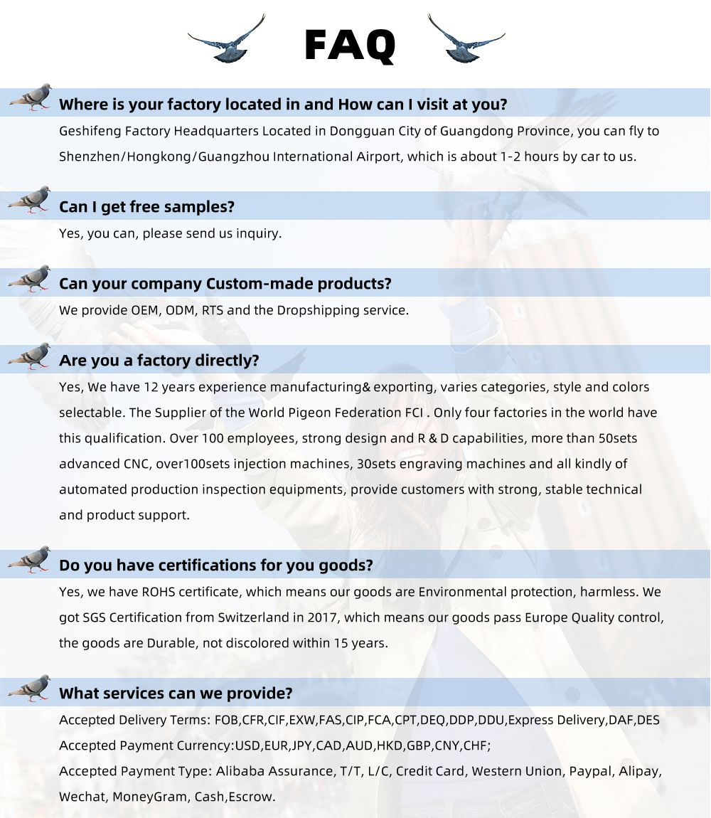 Delhi Ncr Delhi Toms Outlet Near Me Pigeon Foot Leg Bands Durable And  Customizable Rings