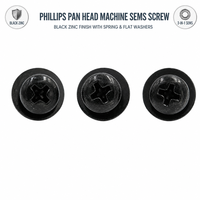 Garantie de livraison ponctuelle Vis SEMS personnalisées en zinc noir 10mm 15mm 20mm à tête cylindrique Phillips pour boîtier de commande