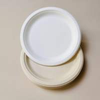 Assiette jetable ovale de 10 pouces, biodégradable, vaisselle écologique pour la maison, les fêtes et l'usage quotidien