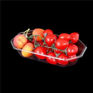 Food Grade Stapelbare Plastic Droogbakken Ook Gebruikt Voor Het Invriezen Van Fruit Groenten En Zeevruchten
