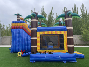 Château gonflable commercial à thème de dessin animé, château bleu en PVC, maison de rebond avec souffleur, parc pour enfants, chiens et famille, vente chaude - Product Image 4