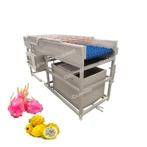 Industrial brush roller washing and drying machine for fruit and vegetables