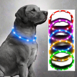 <span class=keywords><strong>Collar</strong></span> de Silicona LED Personalizado de Lujo para Perro, Ecológico, Recargable, Resistente al Agua, con Cierre de Hebilla, Moderno, para Paseos Nocturnos - Product Image 3