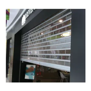 High Quality Transparent Plastic Roll Up Doors with Polycarbonate Slat