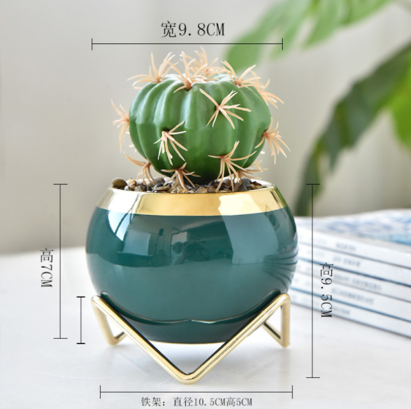 Blue with metal frame