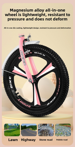 <span class=keywords><strong>Bicicleta</strong></span> Infantil Echo BB117 de 16/18/20/22 Pulgadas para Niños y Niñas de 8 a 13 Años, <span class=keywords><strong>Bicicleta</strong></span> de Montaña de Una Velocidad con Cuadro de Acero al Carbono y Horquilla de Aleación de Aluminio - Product Image 5
