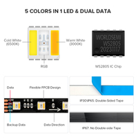 Nouveaux produits Shenzhen BTF LIGHTING, bande LED RGBW adressable par pixels DC12V 24V WS2805 60Ledsm 84Ledsm RGBCW RGBWW 5 en 1 RGBCCT