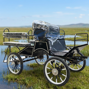 Vente directe du fabricant Marathon : Voiturette électrique de luxe à quatre roues avec châssis en acier Q235B - Product Image 1
