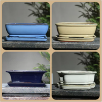 Plateau rectangulaire ovale en porcelaine Yixing Zisha avec trou de drainage, kit de pot de fleurs/bonsaï de bureau traditionnel et écologique