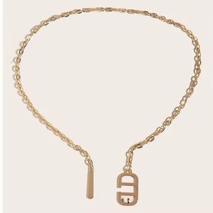 Cinturón de Metal de Lujo para Mujer, Cadena de Cintura de Aleación de Hierro, Color y Talla Personalizables para Vestido, Venta al Por Mayor de Fábrica - Product Image 5
