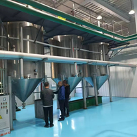 Nieuwe Automatische Grote Palmfruitolieraffinage Complete Productielijn Efficiënt Scheiden Van Extractie Oliehoudende Zaden Ruwe Plant