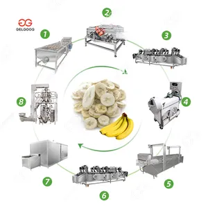 Gelgoog 하이 퀄리티 과일 세척 블랜칭 냉동 생산 라인 IQF 냉동 바나나 가공 기계