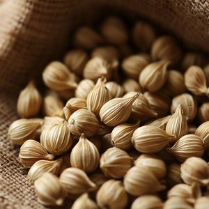 Graines de coriandre entières, épices naturelles d'Orissa, DALAI IMPEX, pour la cuisine et l'assaisonnement - Product Image 1