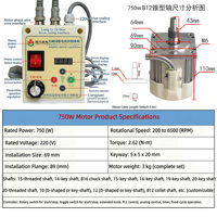 Motor de Husillo Servo Sin Escobillas LIANGYUAN 750W B12 con Eje Cónico para Taladro de Banco, Grabado de Cuentas y Pulido en Madera