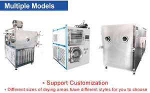 ORME Commercial Lyophilizer Small Food Freeze Drying Machine Fruit <b>Vacuum</b> Freeze Dryer Machine Home - Product Image 3