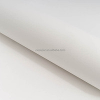 Papier Bond Biodégradable Blanc/Bleu 80GSM pour la Conception CAD de Vêtements et les Dessins Techniques