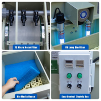 Filtre à tambour à gravité RAS 5m³/h, système de filtration d'eau pour l'aquaculture, pour bassin à poissons, bassin à koïs, directement de l'usine, meilleur rapport qualité-prix