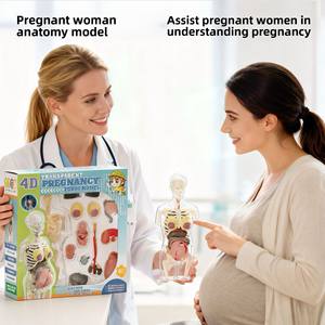 Ensemble de jouets anatomiques pour femmes enceintes, modèle d'organes du <span class=keywords><strong>corps</strong></span> <span class=keywords><strong>humain</strong></span>, <span class=keywords><strong>squelette</strong></span>, aides pédagogiques médicales, jouets éducatifs pour enfants - Product Image 2