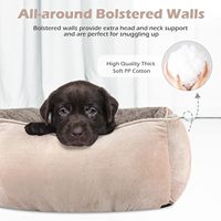 Lit pour animaux de compagnie classique carré solide, rembourré de mousse à mémoire de forme douce et chaude, imperméable et antidérapant, pour chien, en carton