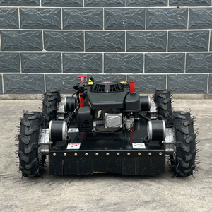 Cortacésped autopropulsado con ruedas y control remoto para pendientes, <span class=keywords><strong>precio</strong></span> - Product Image 2