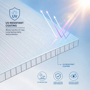 Panneaux de serre en polycarbonate double paroi 10 mm, revêtement UV, plaque creuse transparente, ignifuge, moderne, <span class=keywords><strong>pour</strong></span> toiture de jardin, couverture de <span class=keywords><strong>pergola</strong></span> - Product Image 5